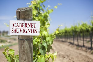 cabernet-sauvignon